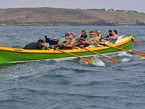 Weymouth men's crew racing "Sir Tristan" at the 19th World Pilot Gig Championships, Isles of Scilly, May 2008