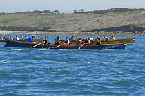 Isles of Scilly men's crew racing "Tregarthens" at the 19th World Pilot Gig Championships, Isles of Scilly, May 2008