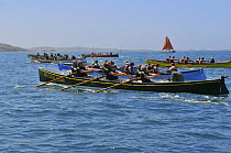 Helford men's crew racing "Golden Gear" at the 19th World Pilot Gig Championships, Isles of Scilly, May 2008