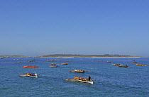 Gig crews rowing out to towards the start line near Tresco for the next heat of the 19th World Pilot Gig Championships, Isles of Scilly, May 2008