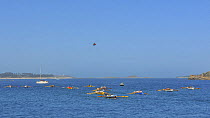 Gig crews rowing out to towards the start line near Tresco for the next heat of the 19th World Pilot Gig Championships, Isles of Scilly, May 2008