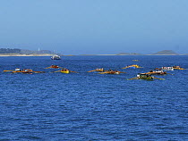 Crews racing in the final heats of the 19th World Pilot Gig Championships, Isles of Scilly, May 2008