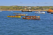 Ladies crews racing in the final heats of the 19th World Pilot Gig Championships, Isles of Scilly, May 2008