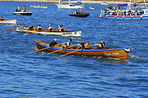 Tresco and Bryher's ladies crew nearing the finish line in "Emma Louise" at the 19th World Pilot Gig Championships, Isles of Scilly, May 2008