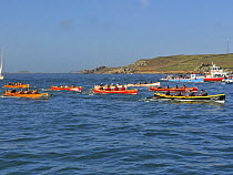 Men's crews racing in the final heat of the 19th World Pilot Gig Championships, Isles of Scilly, May 2008. Mount's Bay in "Kensa" are leading.