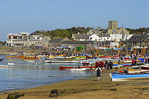 Gigs pulled up on Town Beach, St. Mary's, at the 19th World Pilot Gig Championships, Isles of Scilly, May 2008
