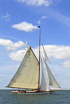 "The Lady Anne" under sail during Round the Island Race, The British Classic Yacht Club Regatta, Cowes Classic Week, July 2008