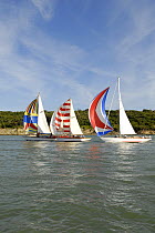 "St David's Light", "Sally Kames" and "John Dory" under sail during Round the Island Race, The British Classic Yacht Club Regatta, Cowes Classic Week, July 2008