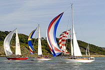 "A Day at the Races", "St David's Light", "Sally Kames" and "John Dory" under sail during Round the Island Race, The British Classic Yacht Club Regatta, Cowes Classic Week, July 2008