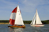 "Zaleda" and "Foglio" under sail during Round the Island Race, The British Classic Yacht Club Regatta, Cowes Classic Week, July 2008