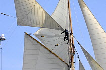 Crew member climbing the rigging of "Mariette" during Round the Island Race, The British Classic Yacht Club Regatta, Cowes Classic Week, July 2008