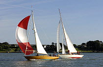 "Zaleda" and "Foglio" under sail during Round the Island Race, The British Classic Yacht Club Regatta, Cowes Classic Week, July 2008