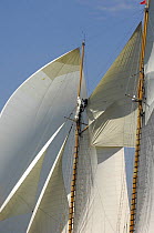 Crew members climbing the rigging of "Mariquita" during the Solent Race, The British Classic Yacht Club Regatta, Cowes Classic Week, July 2008