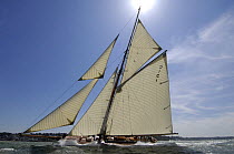 "Mariquita" under sail during the Solent Race, The British Classic Yacht Club Regatta, Cowes Classic Week, July 2008
