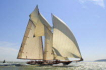 "Mariette" under sail during the Solent Race, The British Classic Yacht Club Regatta, Cowes Classic Week, July 2008