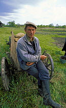 Vasily Balakhonov sitting on a farm wagon, Chukhrai, Bryansk Province, Russia