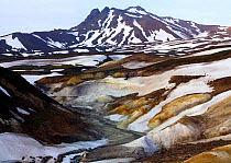 Death Valley, known for its noxious gases capable of killing animals, is situated at the foot of Kikhpinich Volcano, Kronotsky Zapovednik, Kamchatka, Far East Russia