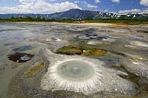 Thermal waters rise from a spring rimmed with a colony of thionic bacteria in the caldera of the Uzon Volcano in July, Kronotsky Zapovednik, Kamchatka, Far East Russia