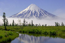Snow-covered Kronotsky Volcano rises above wetland forest and river, Kronotsky Zapovednik, Kamchatka, Far East Russia