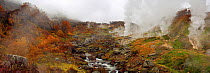 Panoramic of Autumn colours in the Valley of the Geysers, Geyser river, Kronotsky Zapovednik, Kamchatka, Far East Russia