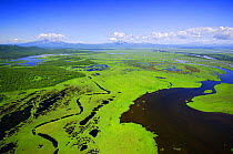 Aerial view of the Zhupanov river and surrounding wetlands just south of the Kronotsky Zapovednik, Kamchatka, Far East Russia