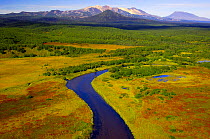 Aerial view of the Tikhaya River flowing through the colourful tundra in autumn. The Kikhpinich and Krashenninikov volcanoes rise in the distance, Kronotsky Zapovednik, Kamchatka, Far East Russia