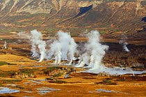 Steaming fissures and geysers in the caldera of Uzon Volcano, Kronotsky Zapovednik, Kamchatka, Far East Russia