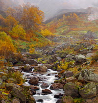 The Geyser River flows through the Valley of the Geysers, cloaked in autumn colours, Kronotsky Zapovednik, Kamchatka, Far East Russia