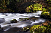 River Dart flowing under bridge at Chase Woods, near Buckland in the Moor, Dartmoor, Devon, UK.