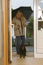 Woman and Cavalier King Charles Spaniel, black-and-tan, entering home after walk in the rain.