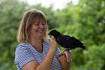 Woman with Carrion Crow, orphaned fledgling (Corvus corone corone), Germany