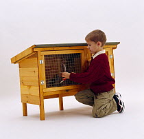 Boy fixing a clean water bottle to wire mesh of rabbit hutch