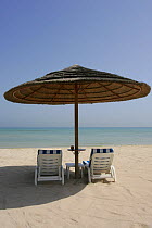Two empty reclining deck chairs on sandy beach under sun umbrella, Jebel Dhanna, Western Region, Abu Dhabi, Arabian Gulf