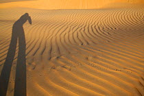 Photographer's shadow and tracks in sand dune ripples, Liwa, UAE