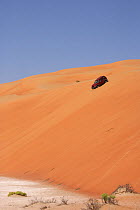 4x4 car sand dune driving, Liwa, UAE