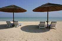 Empty reclining deck chairs in pairs under sun umbrellas on beach, Jebel Dhanna, Western Region, Abu Dhabi, Arabian Gulf