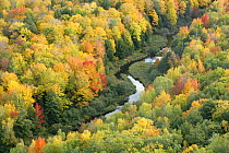Aerial view of Little Carp River and early autumn woodland, Porcupine Mountains State Park, Upper Peninsula, Michigan, USA
