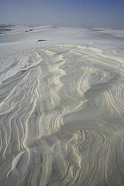 High winds (50-60 mph) expose irregular ridges and layers in wet sand receding to white dunes. White Sands National Park, Chihuahuan Desert, New Mexico, USA