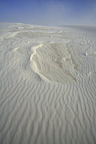 High winds (50-60 mph) create irregular ripples and patterns running up white gypsum sand dune, White Sands National Park, Chihuahuan Desert, New Mexico, USA