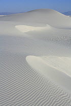 Sand ripples and ridges in white gypsum sand dune, White Sands National Park, Chihuahuan Desert, New Mexico, USA