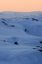 Dawn at the southern most alpine region in Norway, Skykula in Bjerkreim, Rogaland, covered in late spring snow. April