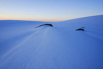 Dawn at the southern most alpine region in Norway, Skykula in Bjerkreim, Rogaland, covered in late spring snow. April