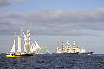 Barquentine "Kaliakra", four-masted barque "Sedov" and three-masted barque "Alexander von Humboldt" lining up of the start of the Funchal 500 Tall Ships Regatta race, Saturday 13th September 2008. Fal...