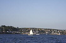 Pilot cutter sailing past St. Mawes harbour, Cornwall, UK