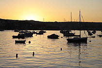 Boats in Falmouth Harbour at sunset, from Flushing harbour, Cornwall, UK