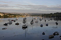Boats in Falmouth Harbour at dawn, seen from Flushing harbour, Cornwall, UK
