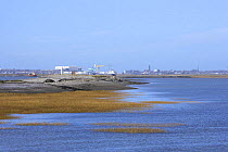 Foulney Island, Furness peninsula, Cumbria, UK, low lying island with industrial sites in background.