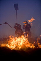 Firemen beating out a grass fire on moorland, Lancashire, UK