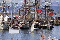 Spectators admire tall ships moored in Port de Rosmeur, Douarnenez Maritime Festival, France, July 2008