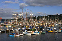 Boats moored in Port de Rosmeur, Douarnenez Maritime Festival, France, July 2008